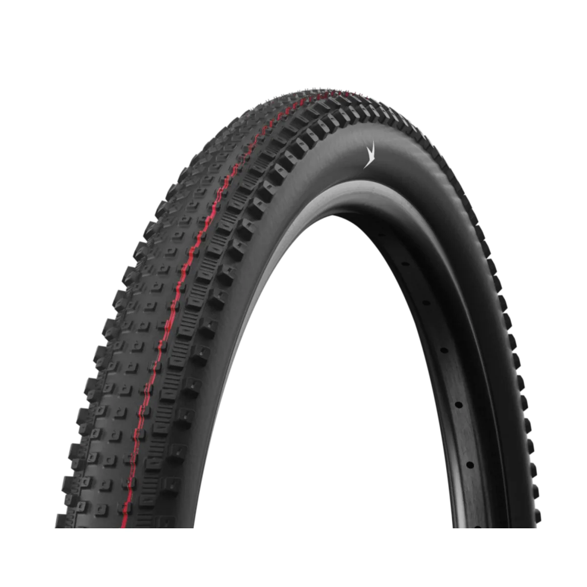 Schwalbe Rick Xc Pro Addix Speed Xc Tire