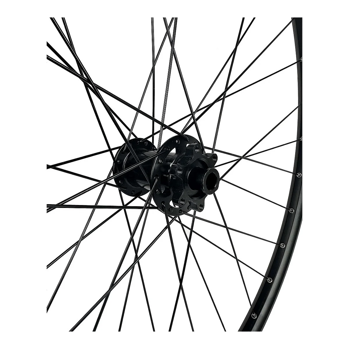 MTB front wheel 29 Boost 15x110 disc IS 6 bolt aluminium 30 mm 2