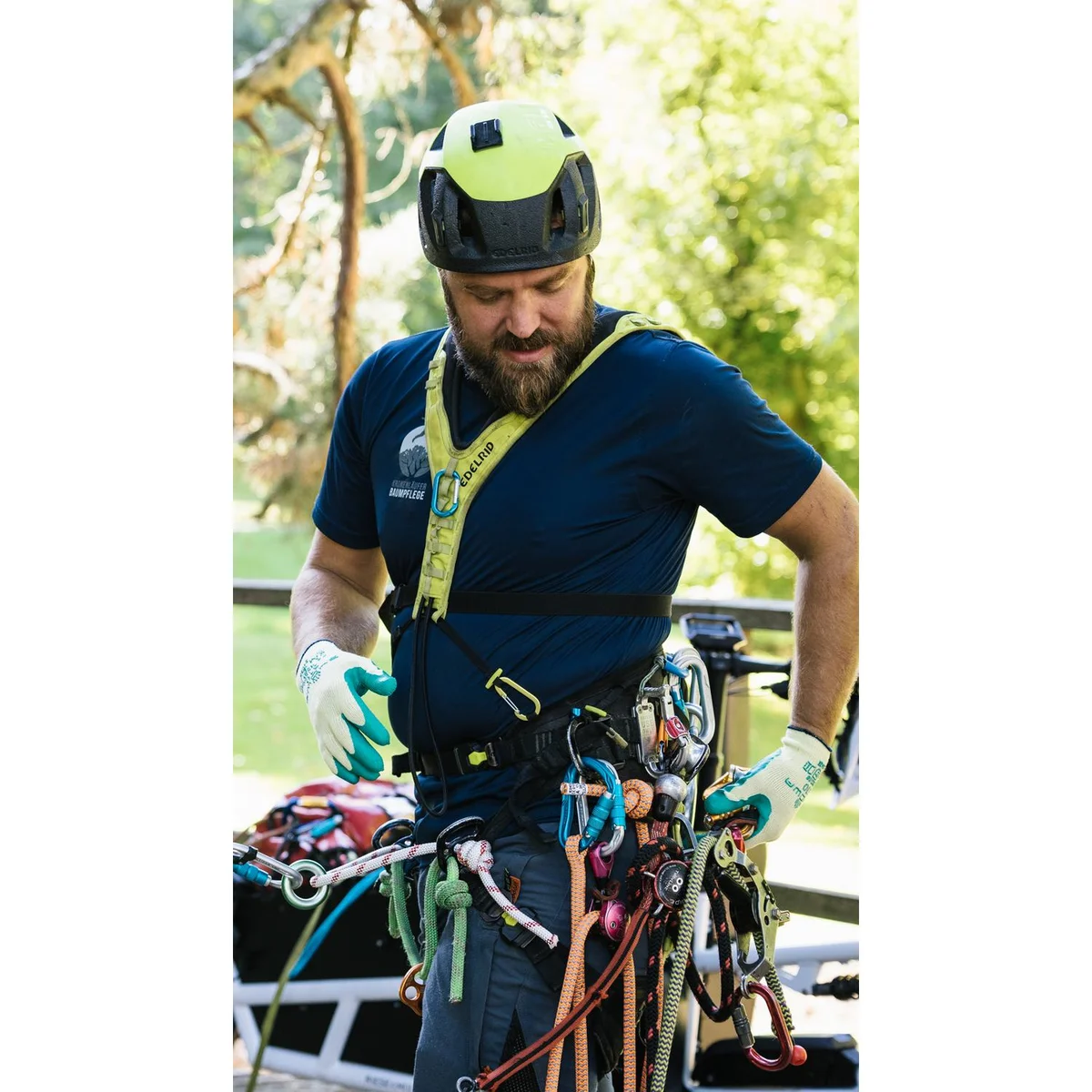 TreeRex Bungee Chest adjustable chest harness for SRT 3