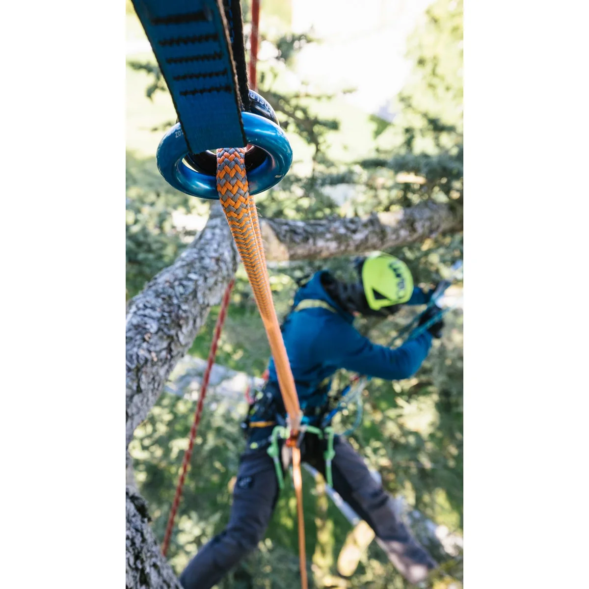 Corda estática Woodpecker 11,7 mm - Lunghezza 60 m 4