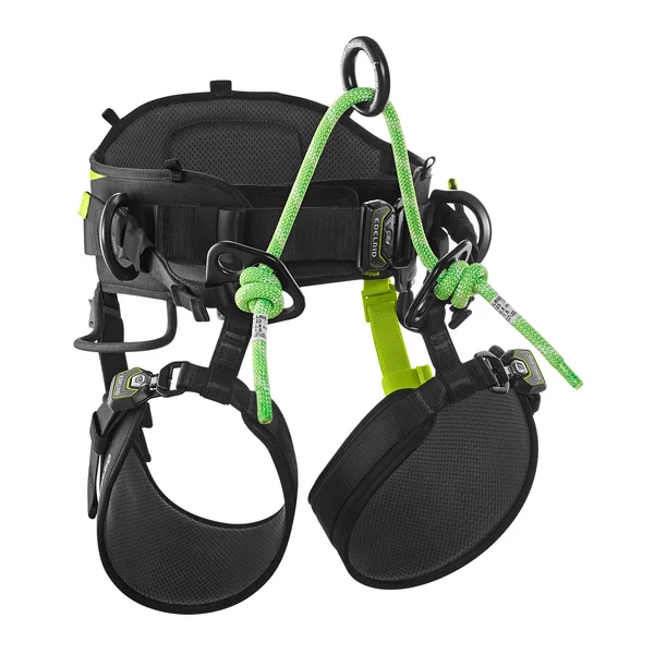 TreeRaptor tree climbing harness with adjustable rigging plate