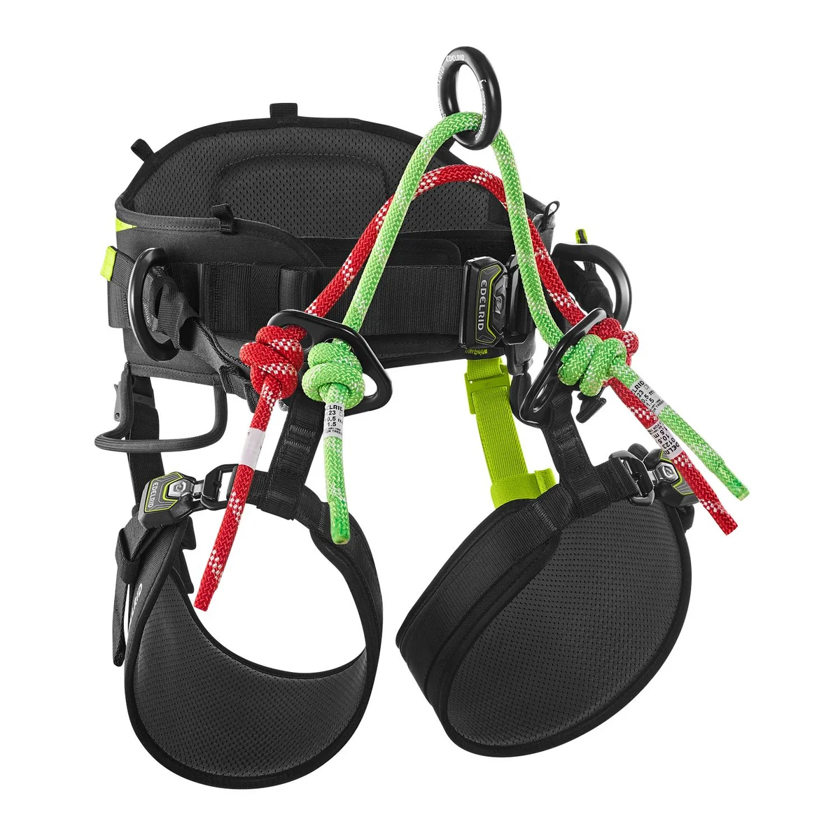 TreeRaptor arnés para escalada en árboles con placa de rigging ajustable - Talla 1 2