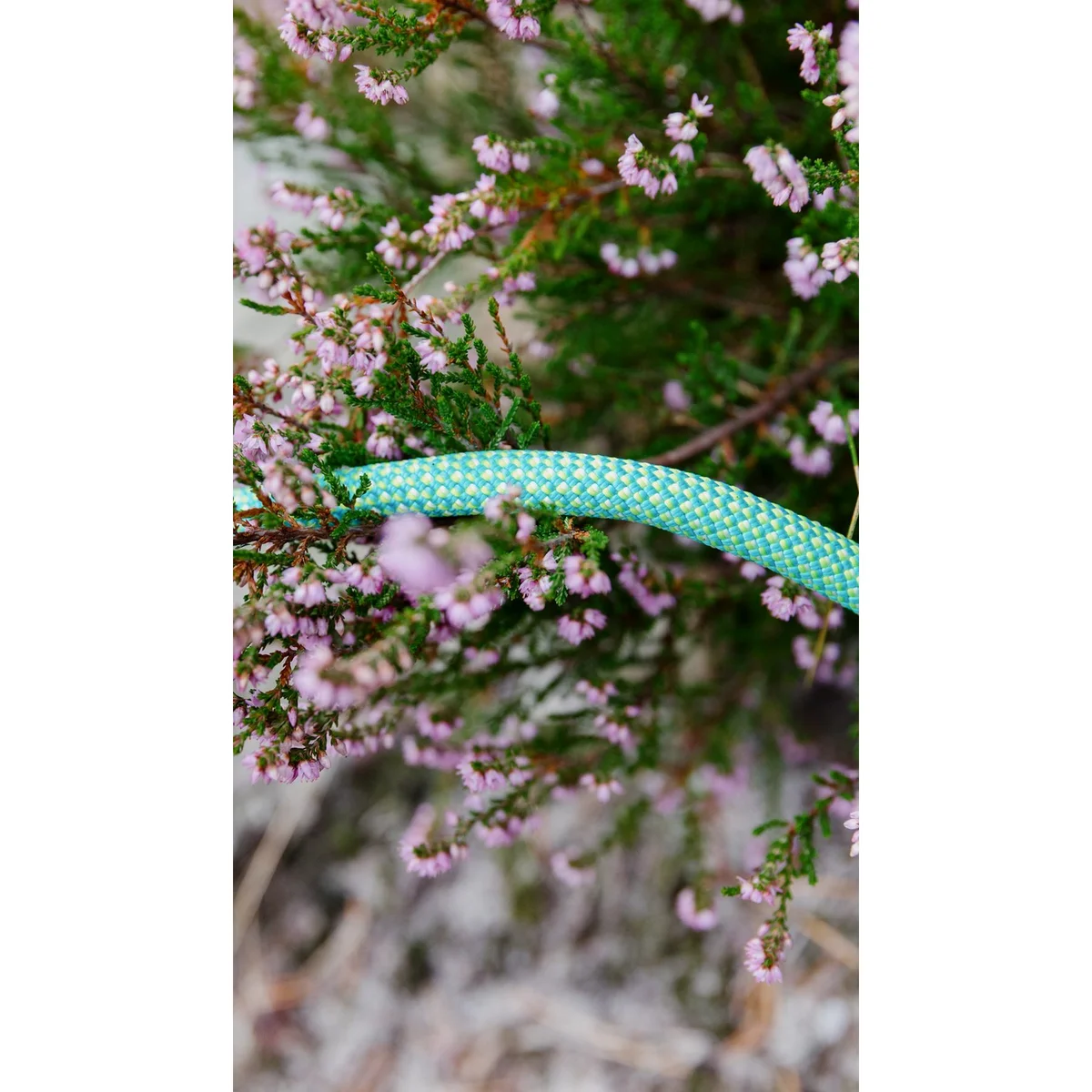 Eagle Lite Eco Dry 9.5 mm dynamic rope - Length 80 m 2