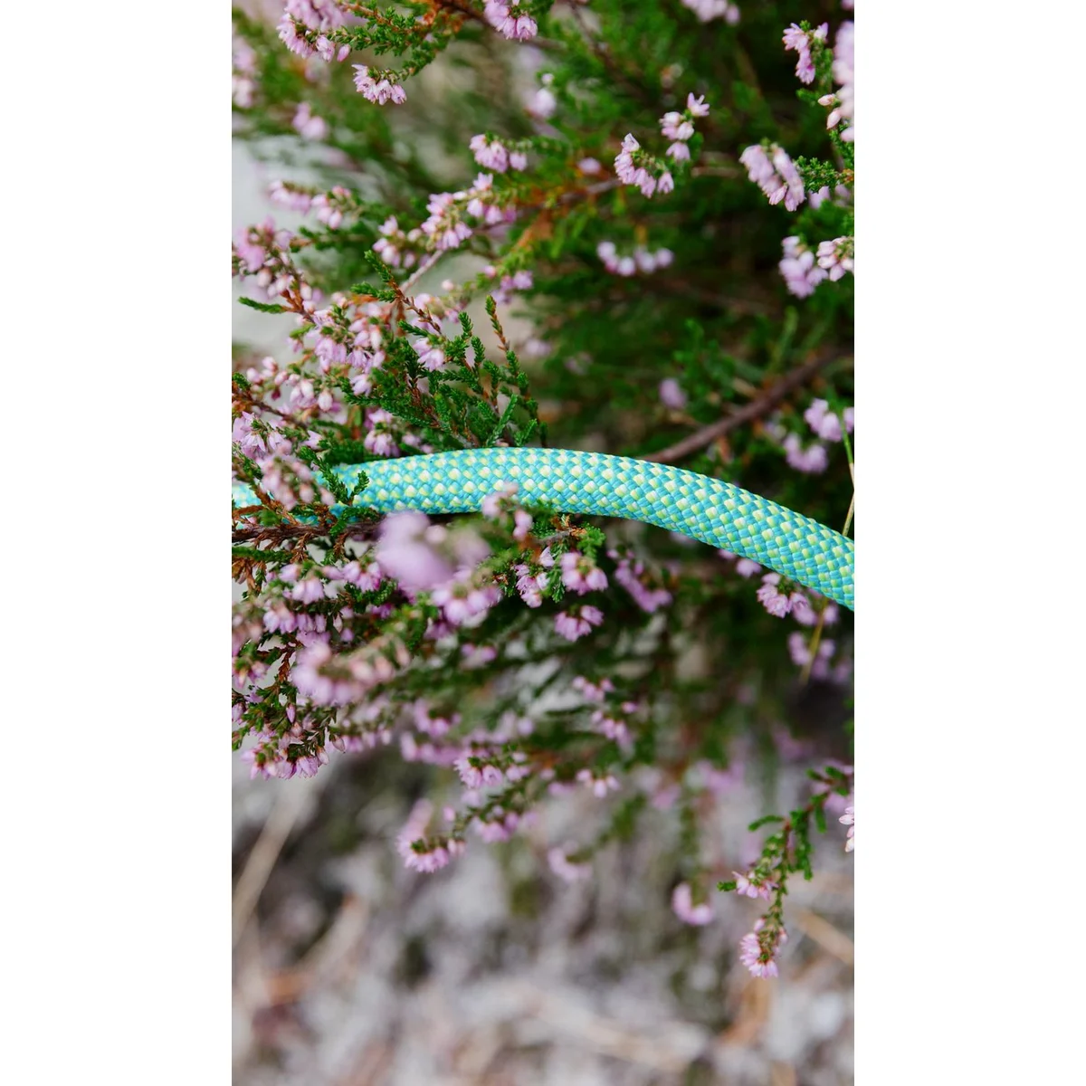 Eagle Lite Eco Dry 9,5 mm dynamisch touw - Lunghezza 80 m 2