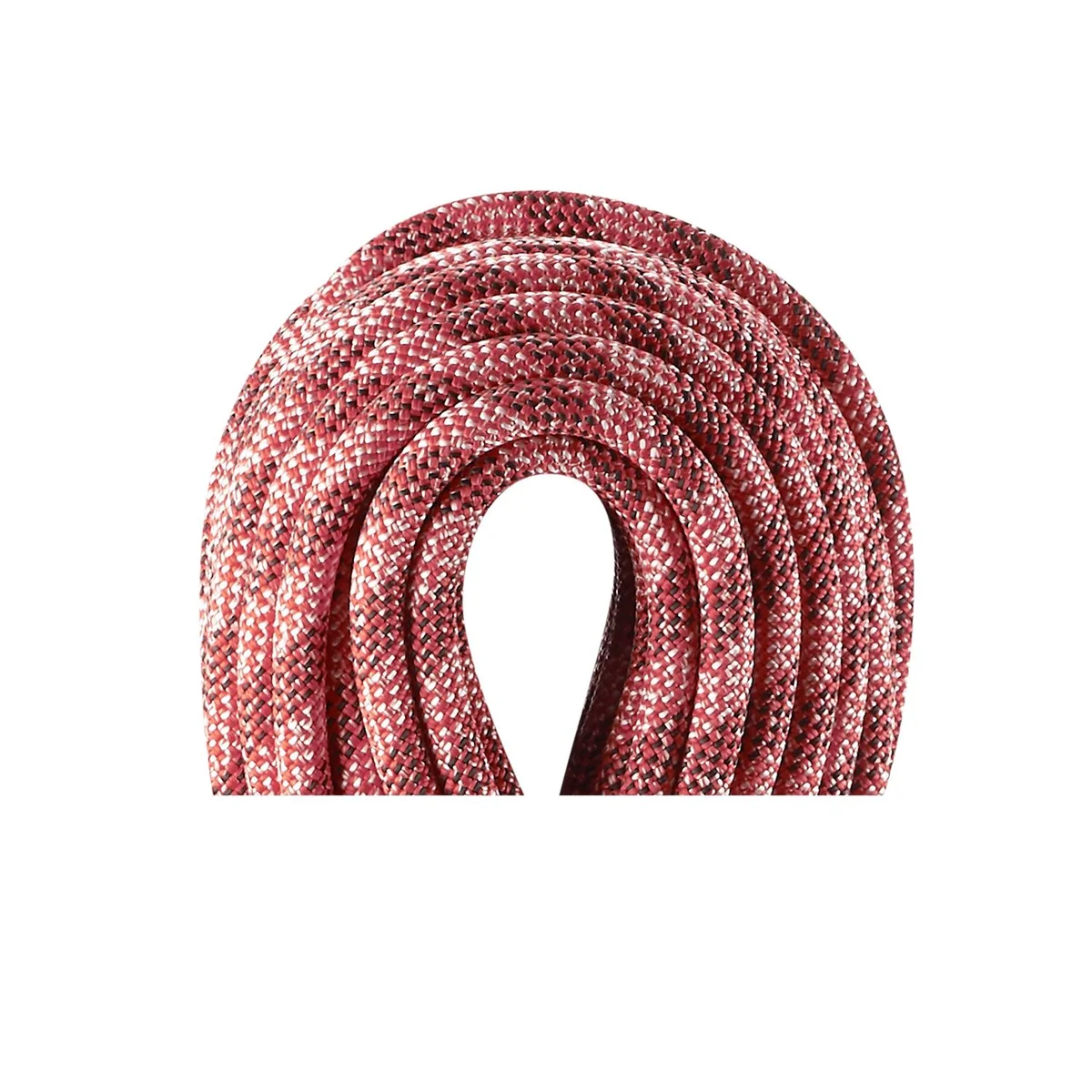 Python 10.0 mm single rope - Length 80 m 4