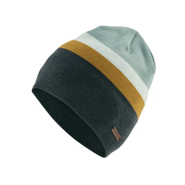 Sleepwalker striped beanie with fleece lining
