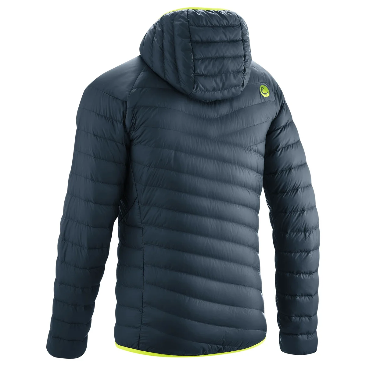 EDL-49253-BLUEBERRY_186-XS 2