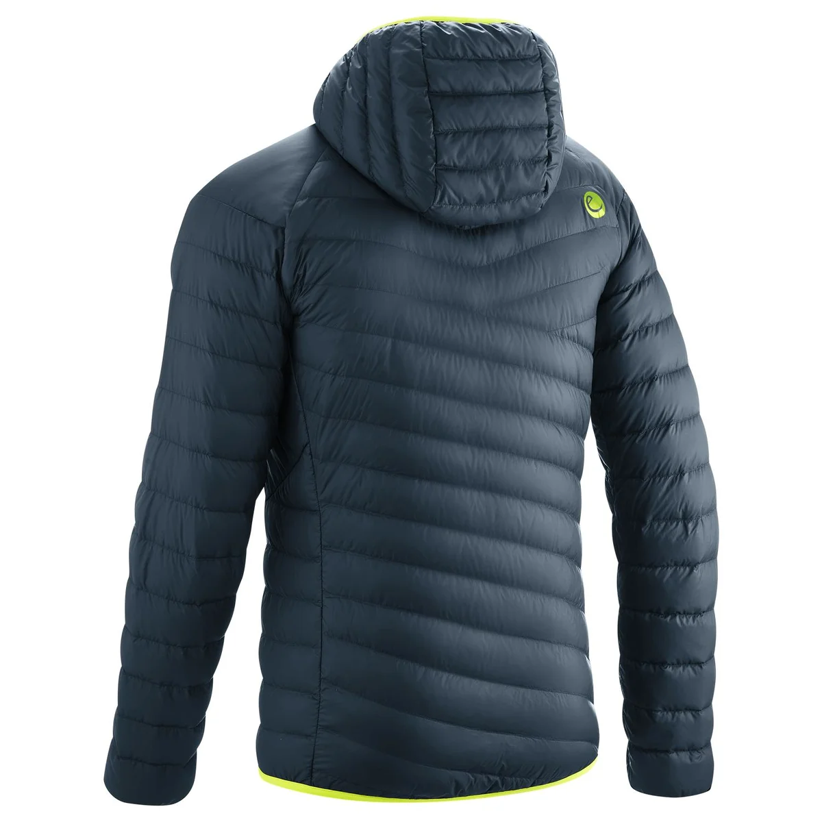 EDL-49253-BLUEBERRY_186-S 2