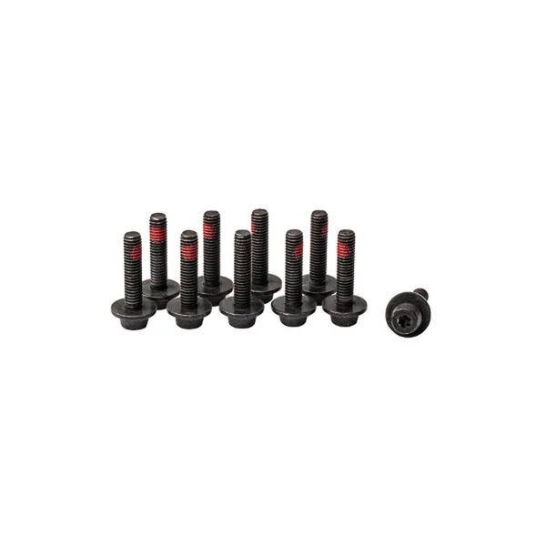 Central fixing screw M6 T25 for Easy Mount pack of 10